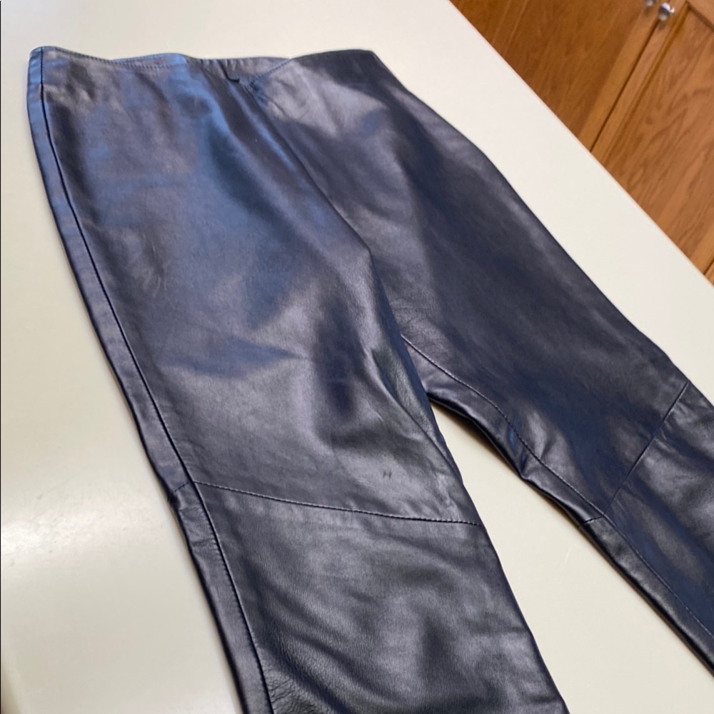 Danier leather pants